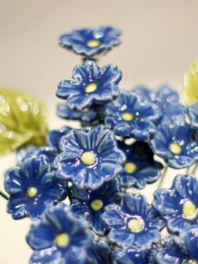 Primula - Kék